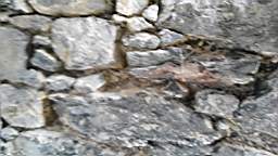 acastle
                          110915.jpg